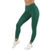 Asara Seamless Sculpt Leggings